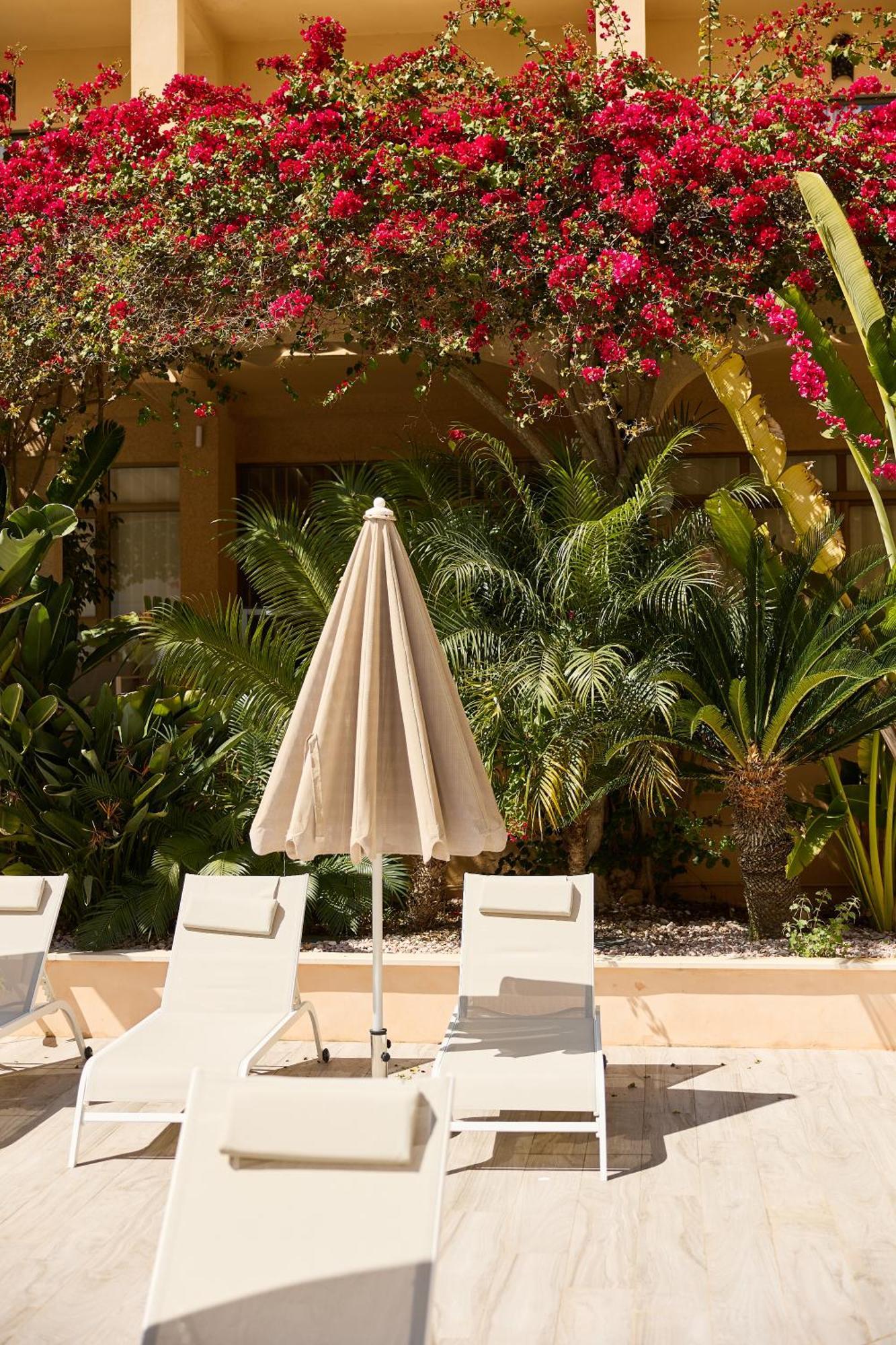 Apartamentos Isla Del Sol Can Pastilla (Mallorca) Exterior foto